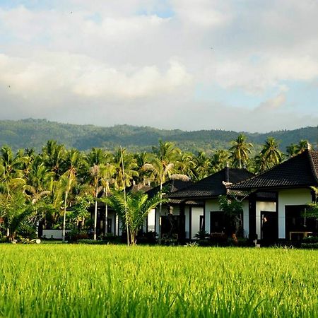 Pandawa Village Lovina Exteriör bild